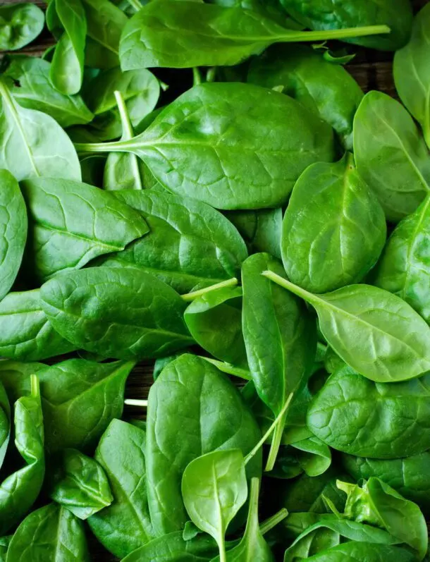 Discover the Types of Microgreens