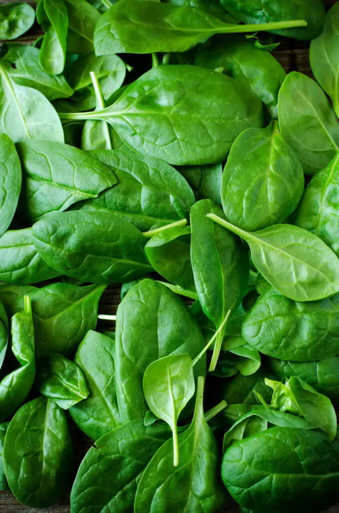 Σπανάκι - Spinach Lorelay Microgreens